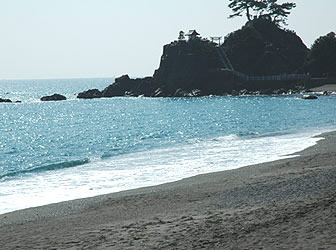 �V���O�����[��